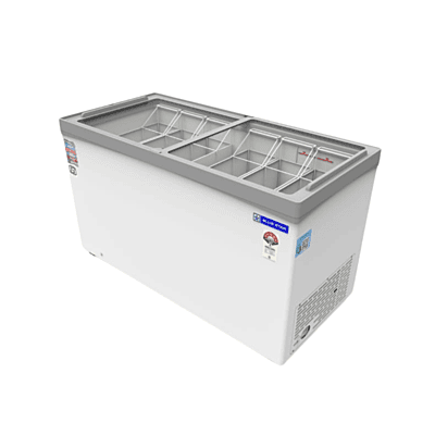 Close-up of the Blue Star 475 Litre Deep Freezer's Temperature Control Panel