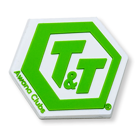 T&T Flexible Pin