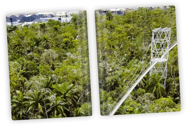 Lagos Green Luxury Journal | Beautiful Chaos Collection