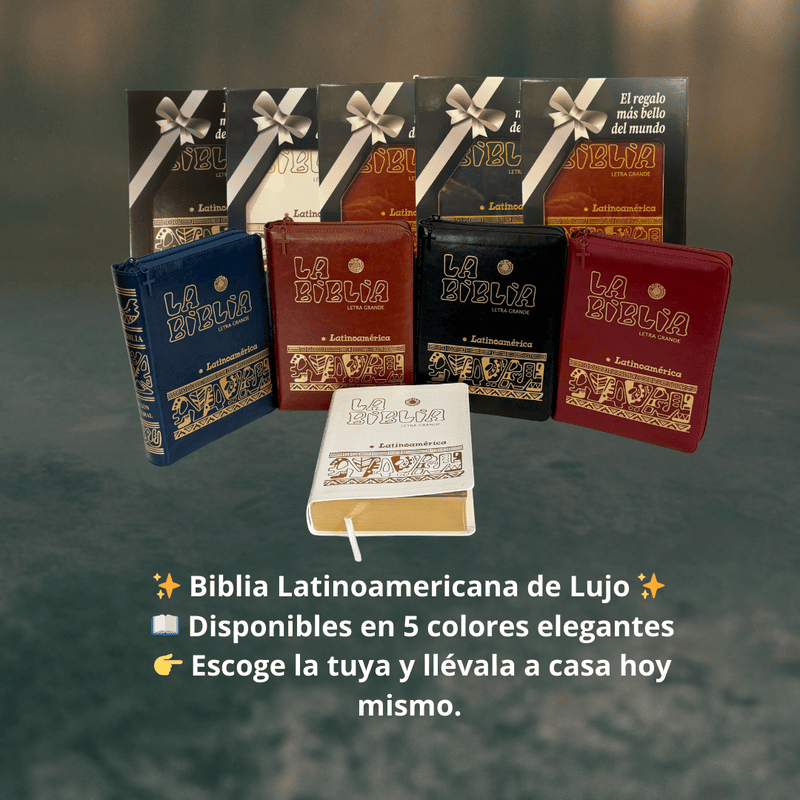 2- La Biblia Latinoamérica de Lujo