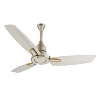 Usha Lambda Plus Ceiling Fan-CF LAMBDA PLUS 55TG R BLDC Usha Lambda Plus Ceiling Fan-CF LAMBDA PLUS 55TG R BLDC