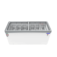 Interior View of Blue Star 590 Litre Deep Freezer with Ample Storage Space Interior View of Blue Star 590 Litre Deep Freezer with Ample Storage Space