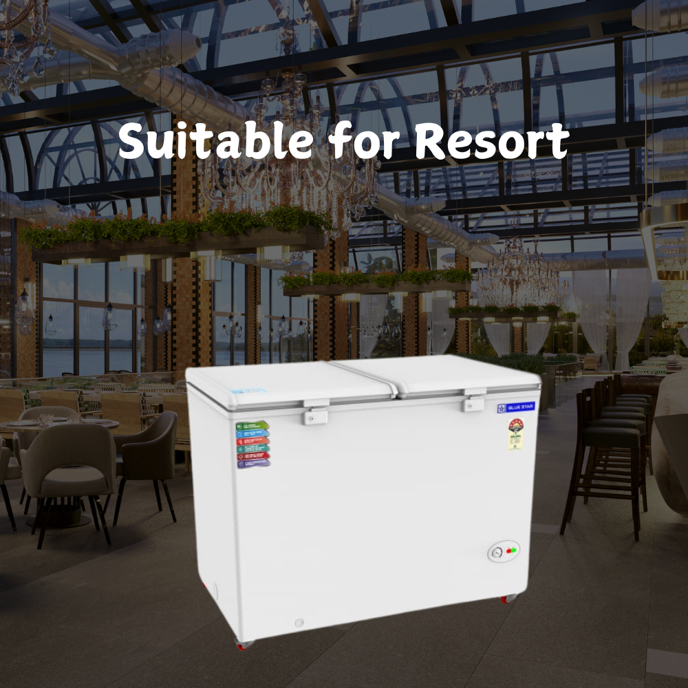 Suitable for Resort: Blue star 400 litre Deep freezer Price
