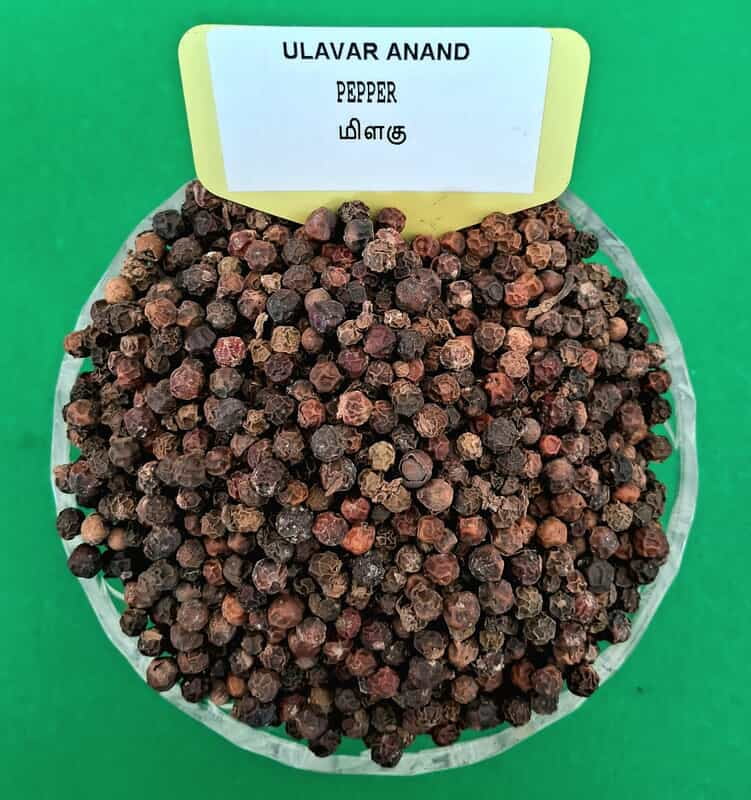 BLACK PEPPER 250G | மிளகு 250G