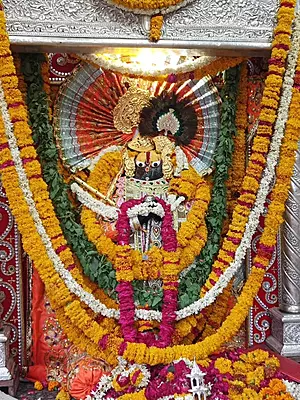 Govardhan Giriraj Ji - Poshak Seva Govardhan Giriraj Ji - Poshak Seva