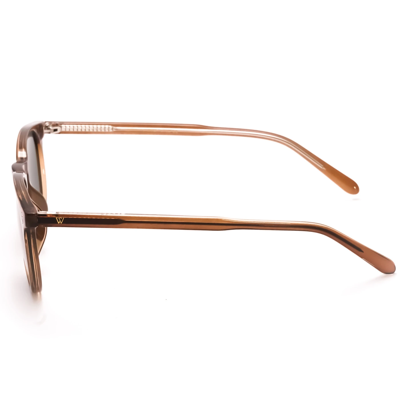 WE SUNGLASS - 6259