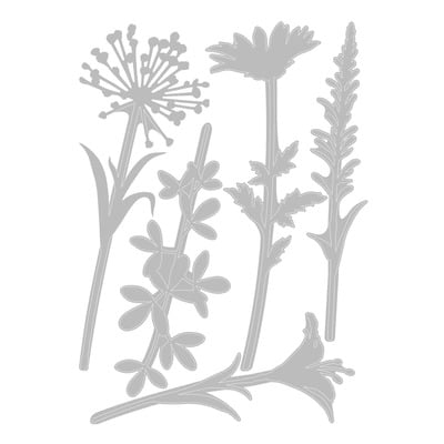 Fustella per carta Fiori Selvatici 2 by Tim Holtz 5 pz