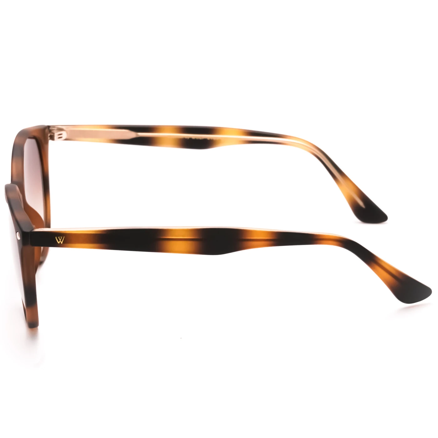WE SUNGLASS - 6801