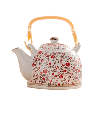 أبريق شاي فاخر ملون حجمين