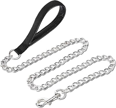 Chain Leash