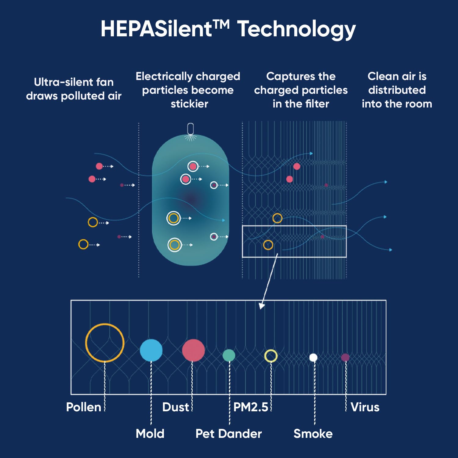 A diagram illustrating how Blueair's HEPASilent™ technology captures airborne pollutants. A diagram illustrating how Blueair's HEPASilent™ technology captures airborne pollutants.