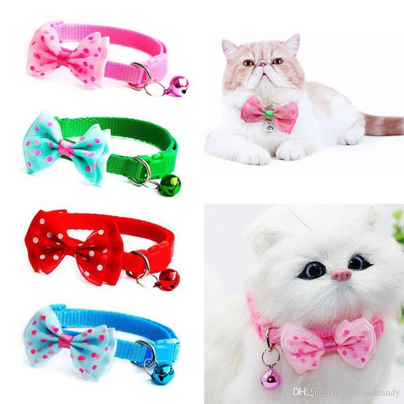 DOG & CAT COLLAR