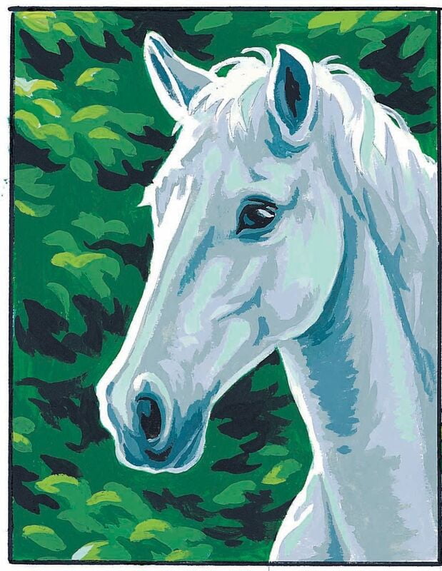Piccolo Kit per Mezzo Punto con Cavallo Bianco, 17355 Piccolo Kit per Mezzo Punto con Cavallo Bianco, 17355