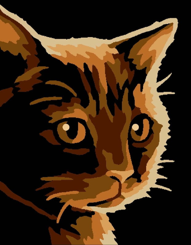 Chiaro Scuro Gatto - Kit ricamo mezzopunto Chiaro Scuro Gatto - Kit ricamo mezzopunto