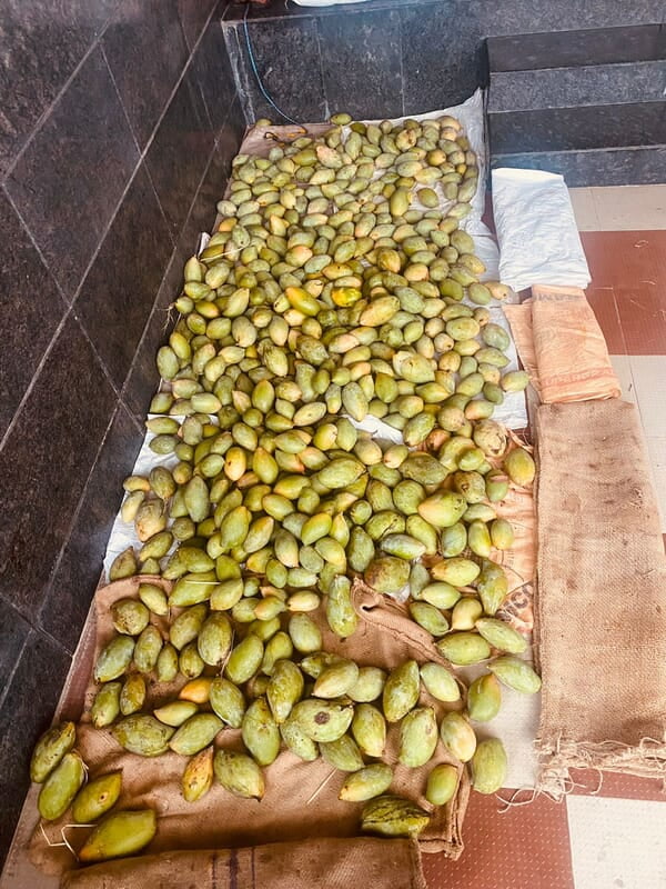 Mango - Kilimooku 5kg