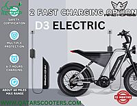 Windhorse Electric Bike D3 Windhorse Electric Bike D3