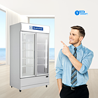 Blue Star Visi Cooler-VC800CD with 1 year comprehensive warranty Blue Star Visi Cooler-VC800CD with 1 year comprehensive warranty