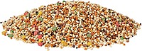 Wild Harvest Daily Blend For Small Birds, 1.3 Kgs