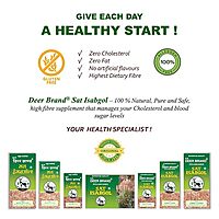 Deer Brand Sat Isabgol - Pure Psyllium Husk 100g
