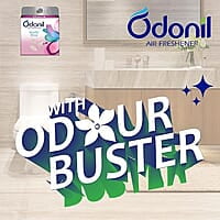 Odonil Bathroom Air Freshener Blocks Mixed Fragrances, 288 g (4 N X 72 g each)