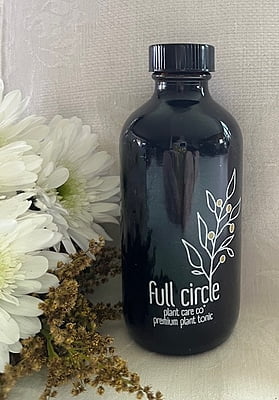 Premium Plant Tonic - Gift Glass