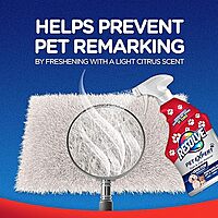 Resolve Pet Stain Remover Spray - 22oz