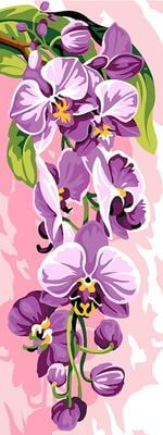 Orchidea Selvaggia