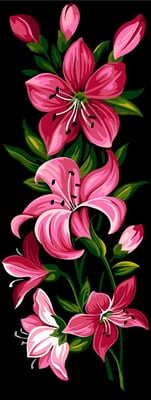 Lilium in Rosa