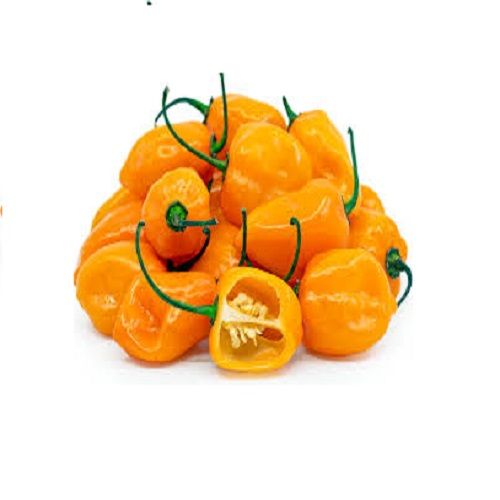 AgriBloom Habanero-Yellow