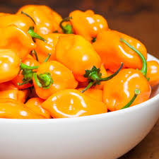 AgriBloom Habanero-Yellow