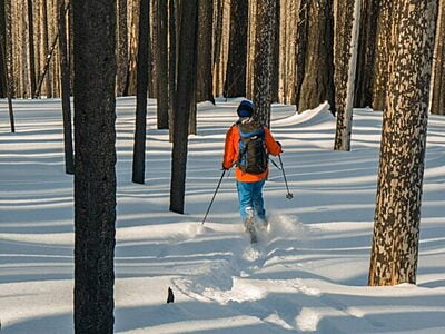 Hok Ski