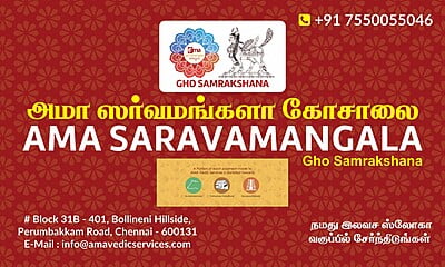 Feed for Gho ( Cow ) - KAMAKSHI & HARIHARAN