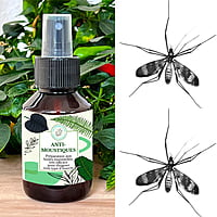 Anti-Moustiques Anti-Moustiques