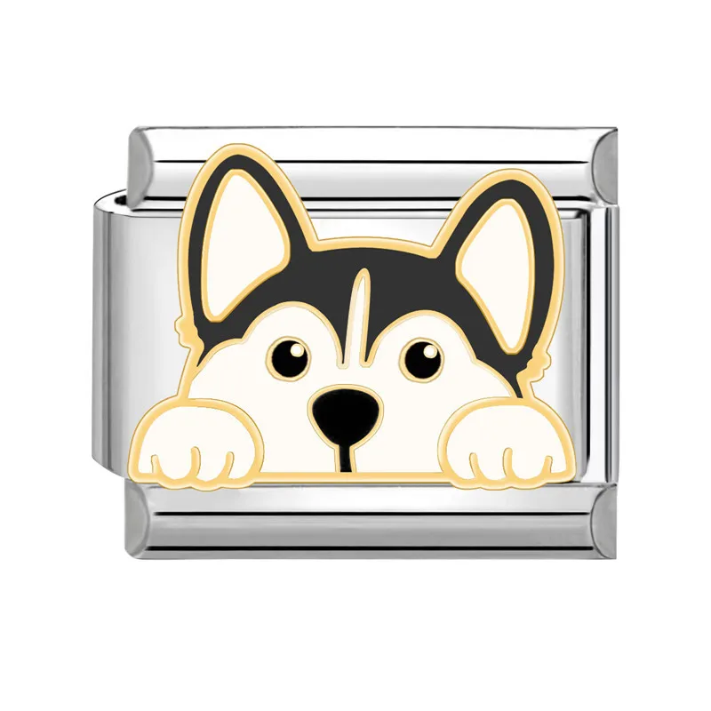 Siberian Husky 