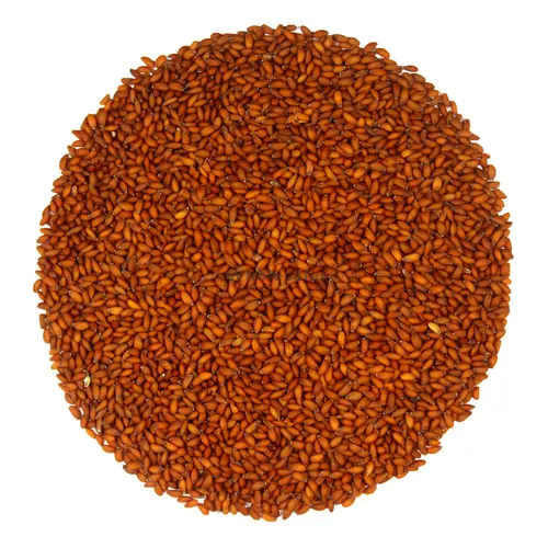 Asaliya (Haleem) Seeds