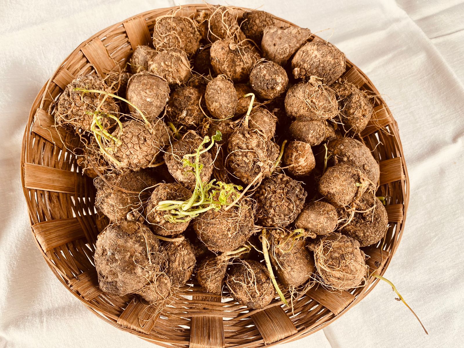 Athalaikai (அதலைக்காய் )