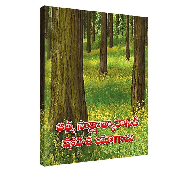 Atma Sakshatkaraniki Shodasa Yogalu (Telugu) (Paperback) Atma Sakshatkaraniki Shodasa Yogalu (Telugu) (Paperback)