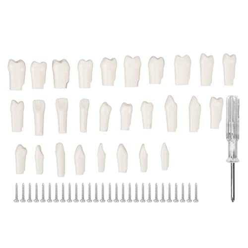 28 Piezas de Dientes Extraíbles