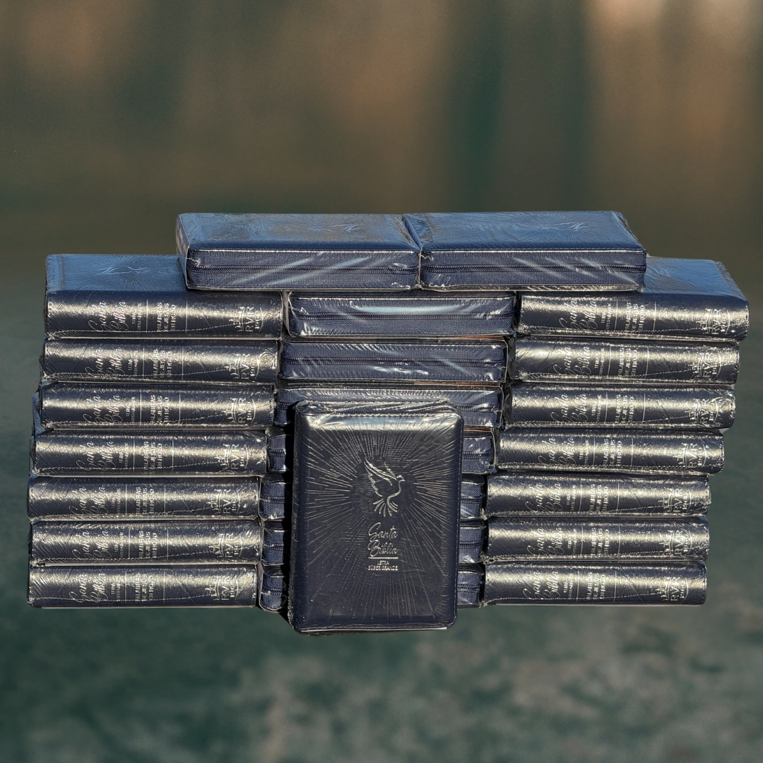 Biblia de Bolsillo Azúl / Imitación Piel / Letra Pequeña de 9 - Caja de 35 unidades Biblia de Bolsillo Azúl / Imitación Piel / Letra Pequeña de 9 - Caja de 35 unidades