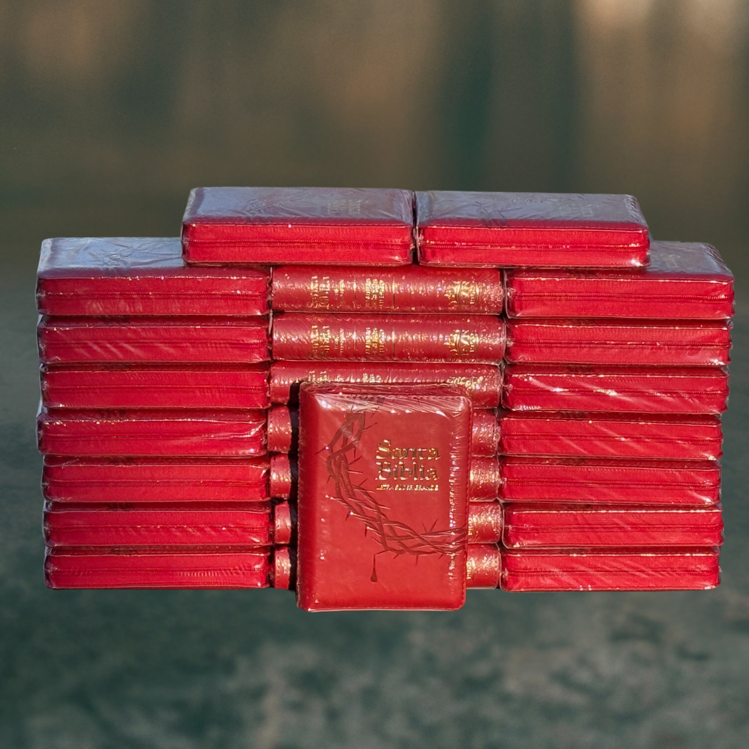 Biblia de Bolsillo Roja / Imitación Piel / Letra Pequeña de 9 - Caja de 35 unidades Biblia de Bolsillo Roja / Imitación Piel / Letra Pequeña de 9 - Caja de 35 unidades