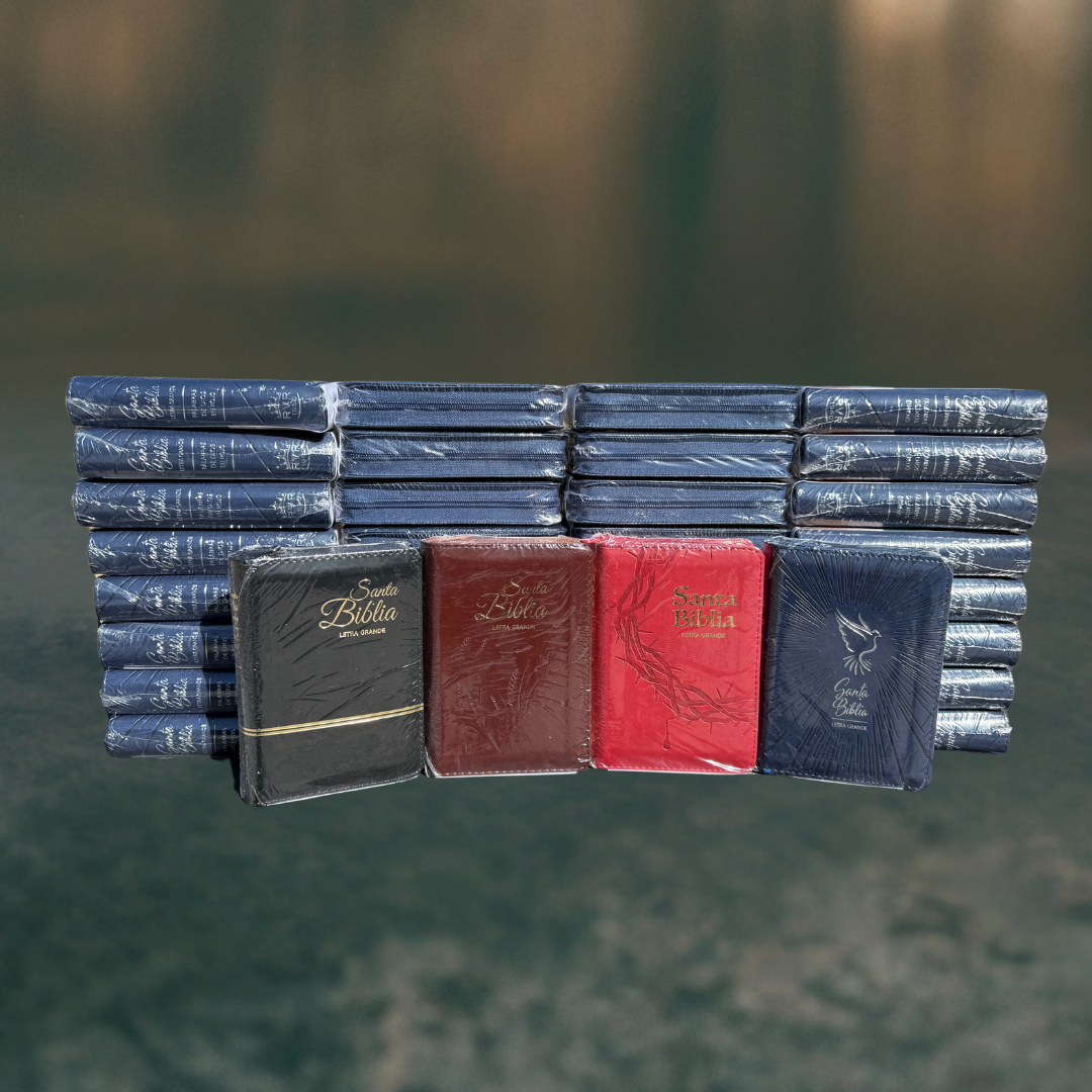 Biblia de Bolsillo Azúl / Imitación Piel / Letra Pequeña de 9 - Caja de 35 unidades Biblia de Bolsillo Azúl / Imitación Piel / Letra Pequeña de 9 - Caja de 35 unidades