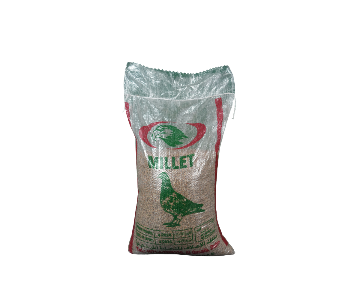 Bajra 10kg (Malek Aalaf)