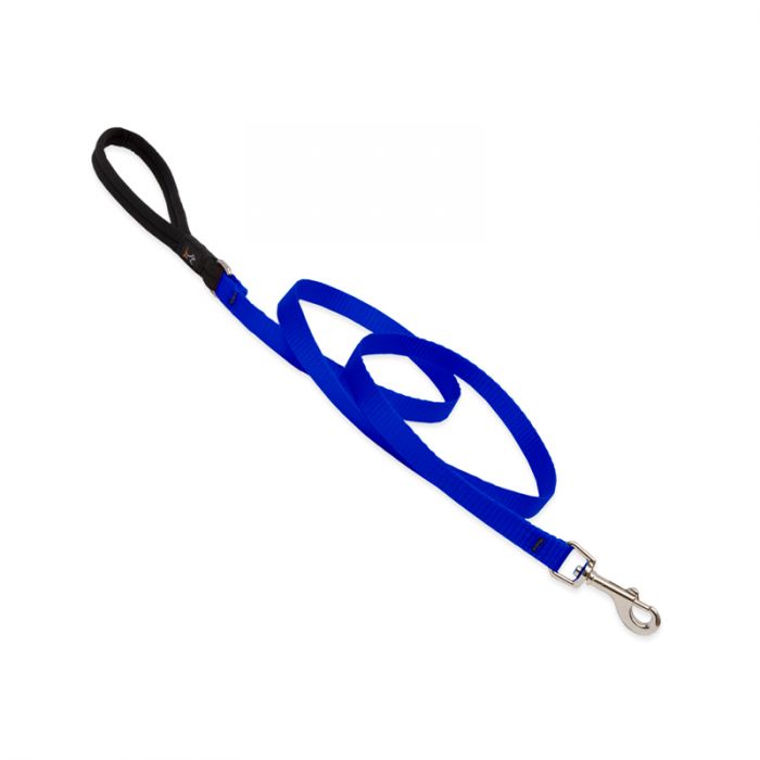 Basic Solids Padded Handle Dog Leash 4ft Blue