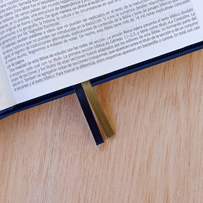 Biblia De Estudio Esquematizada Con Cierre Biblia De Estudio Esquematizada Con Cierre