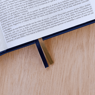 Biblia De Estudio Esquematizada Con Cierre Biblia De Estudio Esquematizada Con Cierre