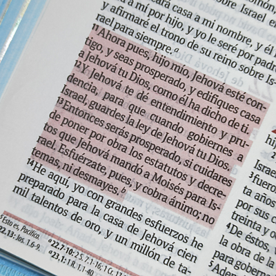 Biblia Ilustrada para niños modelo ovejas Biblia Ilustrada para niños modelo ovejas