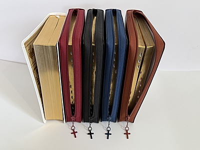 2- La Biblia Latinoamérica de Lujo