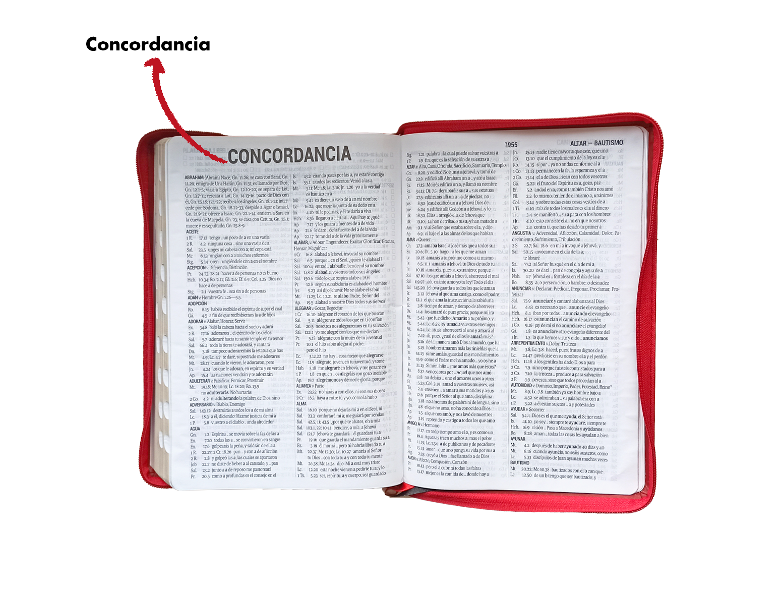 Santa Biblia, Letra Súper Gigante, Imitación Piel, Café Claro/ Café Oscuro Santa Biblia, Letra Súper Gigante, Imitación Piel, Café Claro/ Café Oscuro