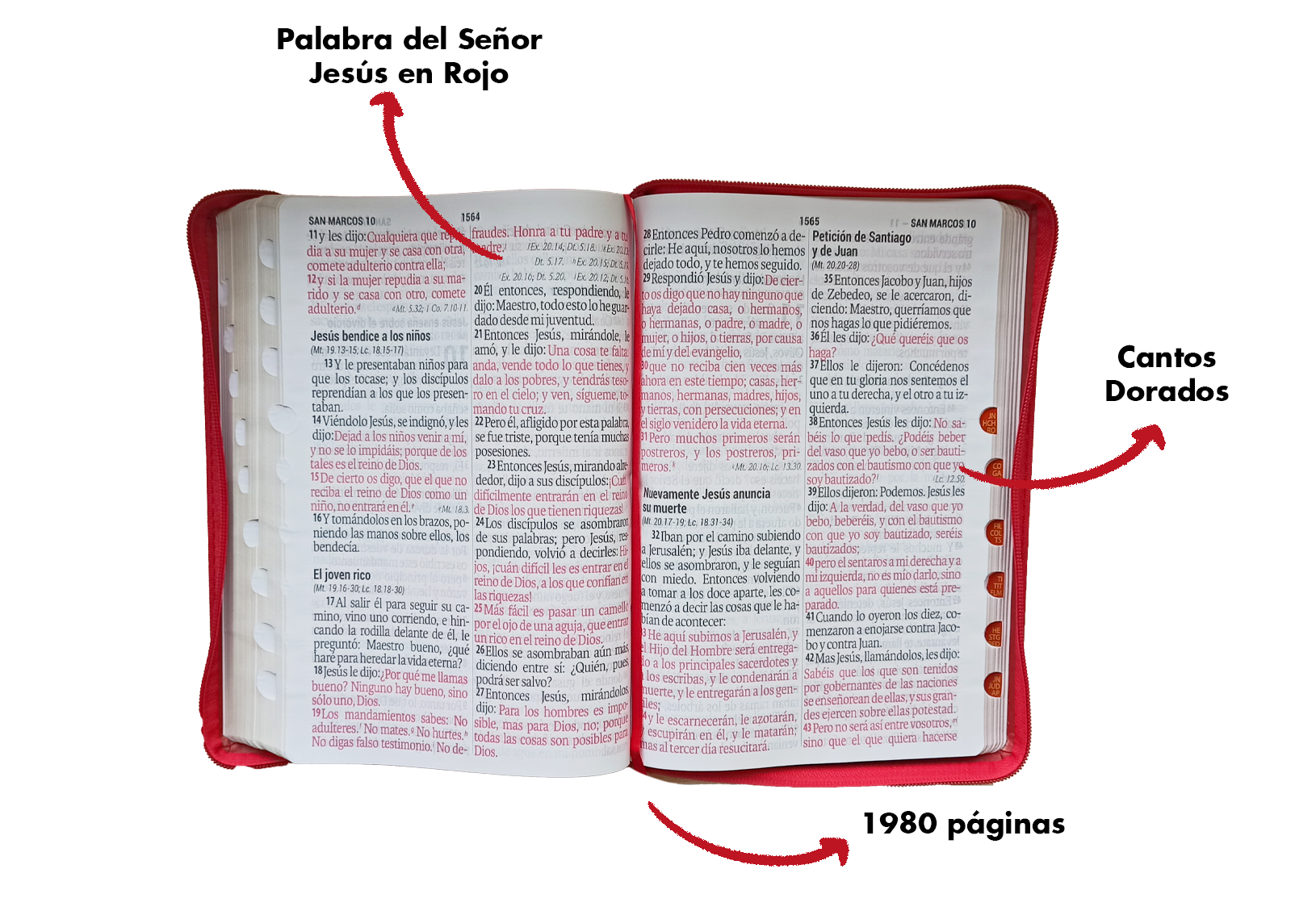 Santa Biblia, Letra Súper Gigante, Imitación Piel, Café Claro/ Café Oscuro Santa Biblia, Letra Súper Gigante, Imitación Piel, Café Claro/ Café Oscuro