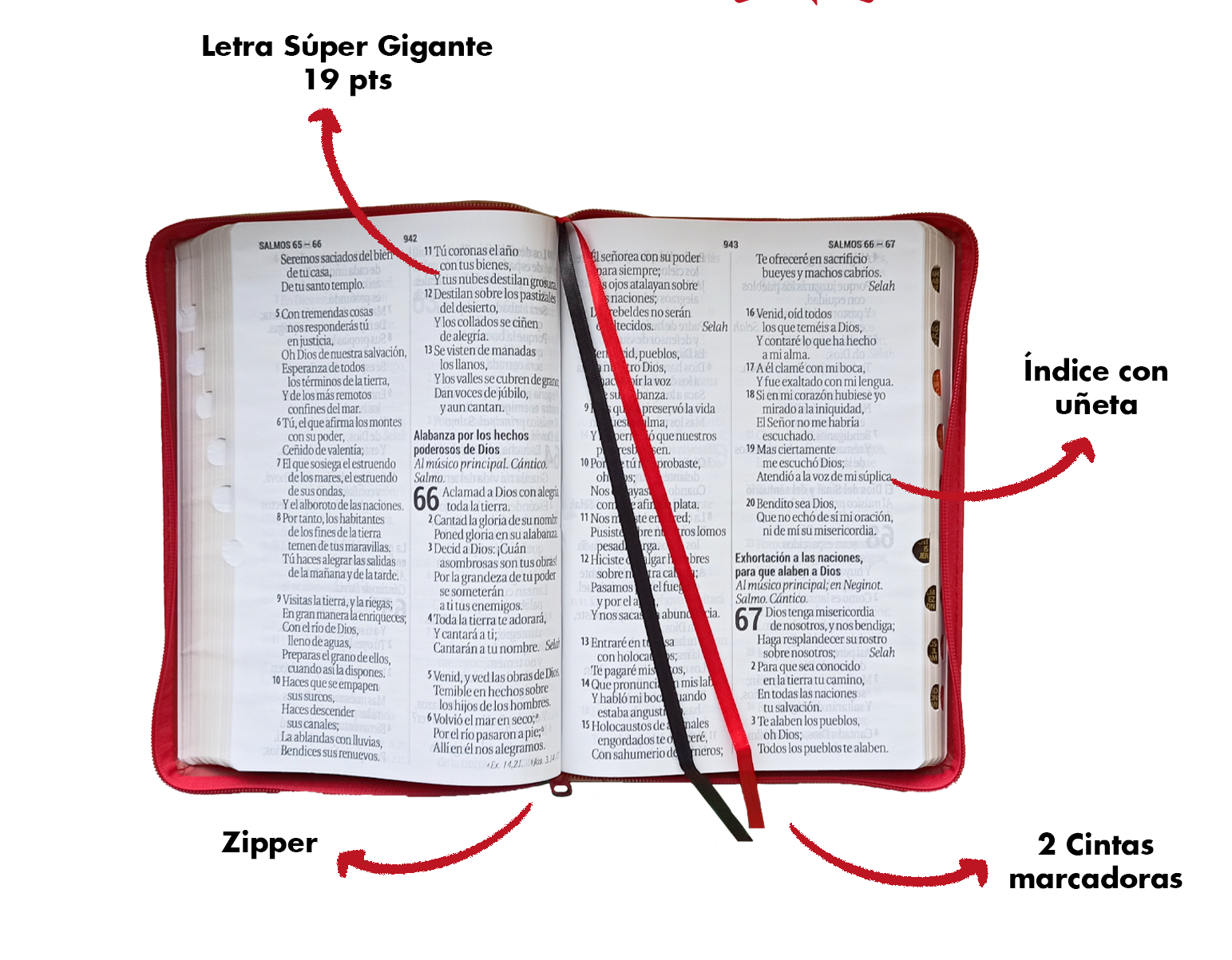 Santa Biblia, Letra Súper Gigante, Imitación Piel, Café Claro/ Café Oscuro Santa Biblia, Letra Súper Gigante, Imitación Piel, Café Claro/ Café Oscuro